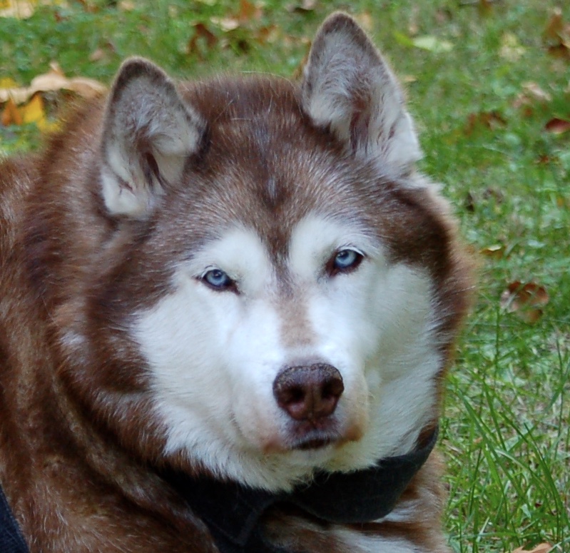 DSC_0057 - Versión 2 – Versión 3