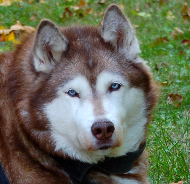 DSC_0057 - Versión 2 – Versión 3