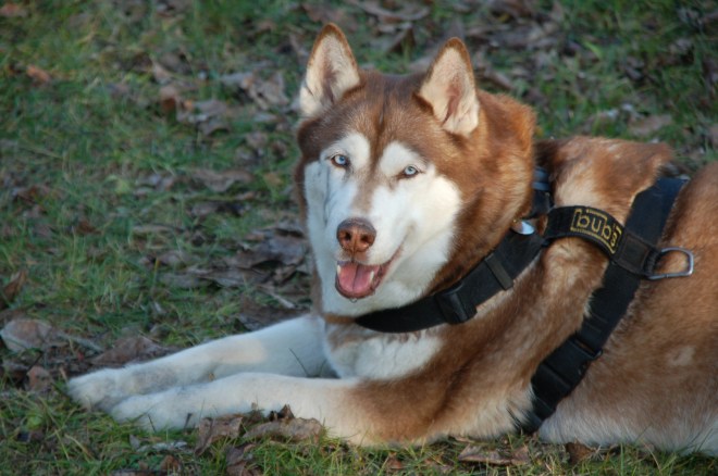 NewYork1_20072007-01-07_10-53-12