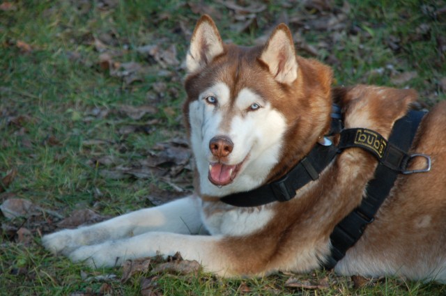 NewYork1_20072007-01-07_10-53-12