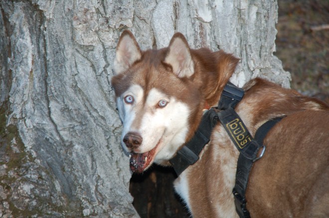 NewYork1_20072007-01-07_11-23-18