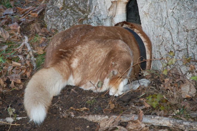 NewYork1_20072007-01-07_11-24-24